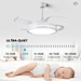 Ceiling Fan Light