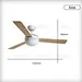Ceiling fan fan box wholesale price Fanplus