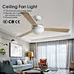 Ceiling fan fan box wholesale price Fanplus