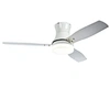 Ceiling Fan With Light