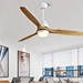 Ceiling Fan tropical fan Fanplus