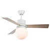 Big Power Ceiling Fan