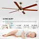 Large Ceiling Fans