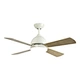 Ceiling fan electric fan factory Fanplus