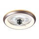Ceiling Fan Light