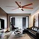 Large Ceiling Fans