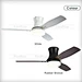 Ceiling Fan With Light