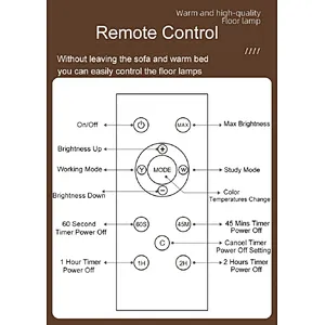 Floor lamp with remote