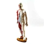 Acupuncture Model,Anatomical Model,Teaching Model,acupuncture model english,body model,chinese acupuncture points,human acupuncture model,hand foot ear point model,head points medical,education model,acupoint model,plastic model,Muscle Anatomy