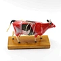 Acupuncture Model,Anatomical Model,Animal Model,Acupuncture Animal Model,Medical animal model, Teaching Model,Dog Cow Animal Skeleton,Acupuncture ear model,acupuncture model english,body model,
chinese acupuncture points,Cow animal model,Ox