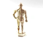 body model