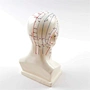 Acupuncture Model,Anatomical Model,Teaching Model,Acupuncture ear model,acupuncture model english,body model,chinese acupuncture points,human acupuncture model,hand foot ear point model,head points medical,education model,acupoint model,plastic model