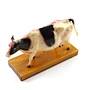 Acupuncture Model,Anatomical Model,Animal Model,Acupuncture Animal Model,Medical animal model, Teaching Model,Dog Cow Animal Skeleton,Acupuncture ear model,acupuncture model english,body model,
chinese acupuncture points,Cow animal model,Ox