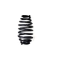 car springs