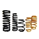 shock absorber spring