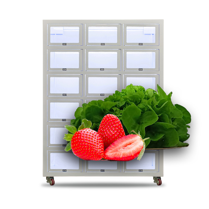 Smart Locker Vending Machine for Pre-Made Meals in France
