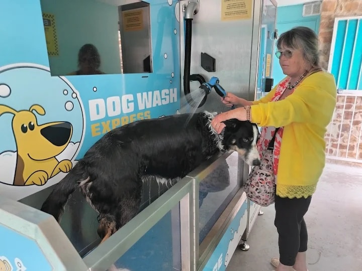 dog washing machine in communities.