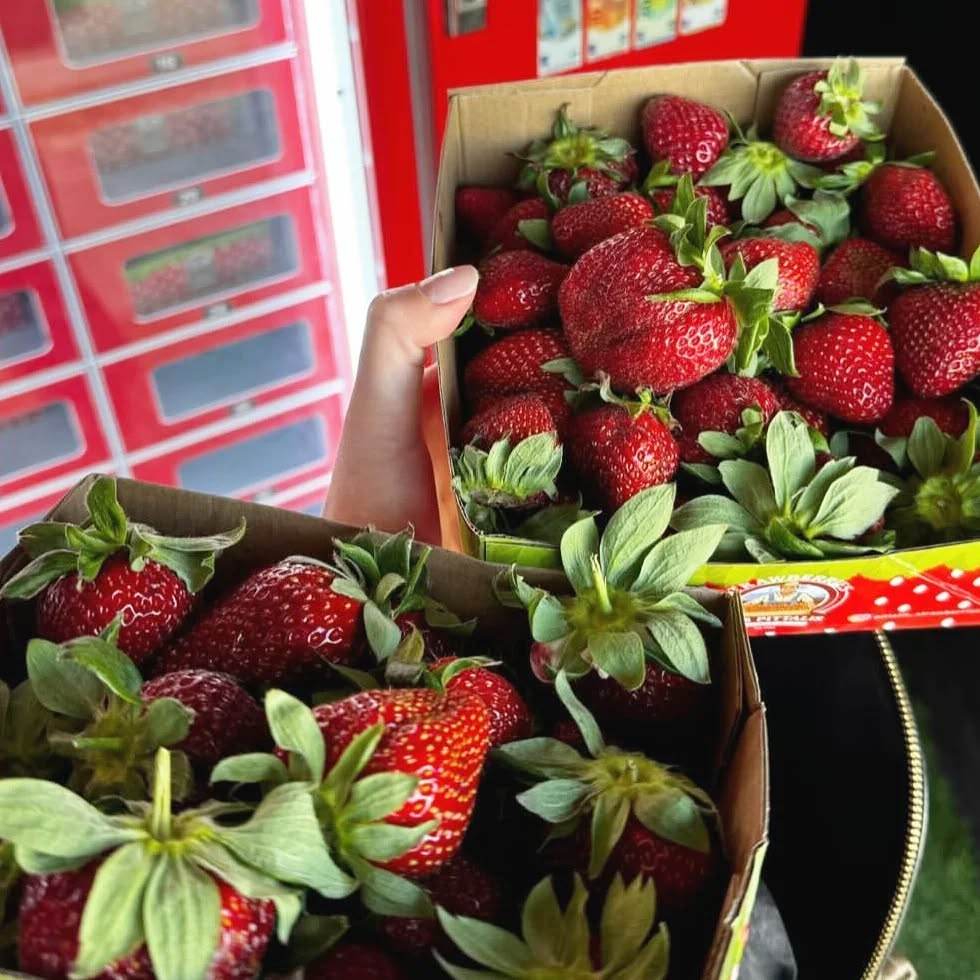 Weimi fresh strawberry vending machine with cooling system for farms