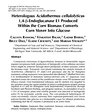 E-TAG 88E1145-E1-BBM-I000 ALASKA QUAD GIGABIT ETHERNET TRANSCEIVERS Electronic components Integrated circuit IC