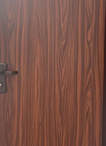 Surface of Steel Wood Grain Entry Doors