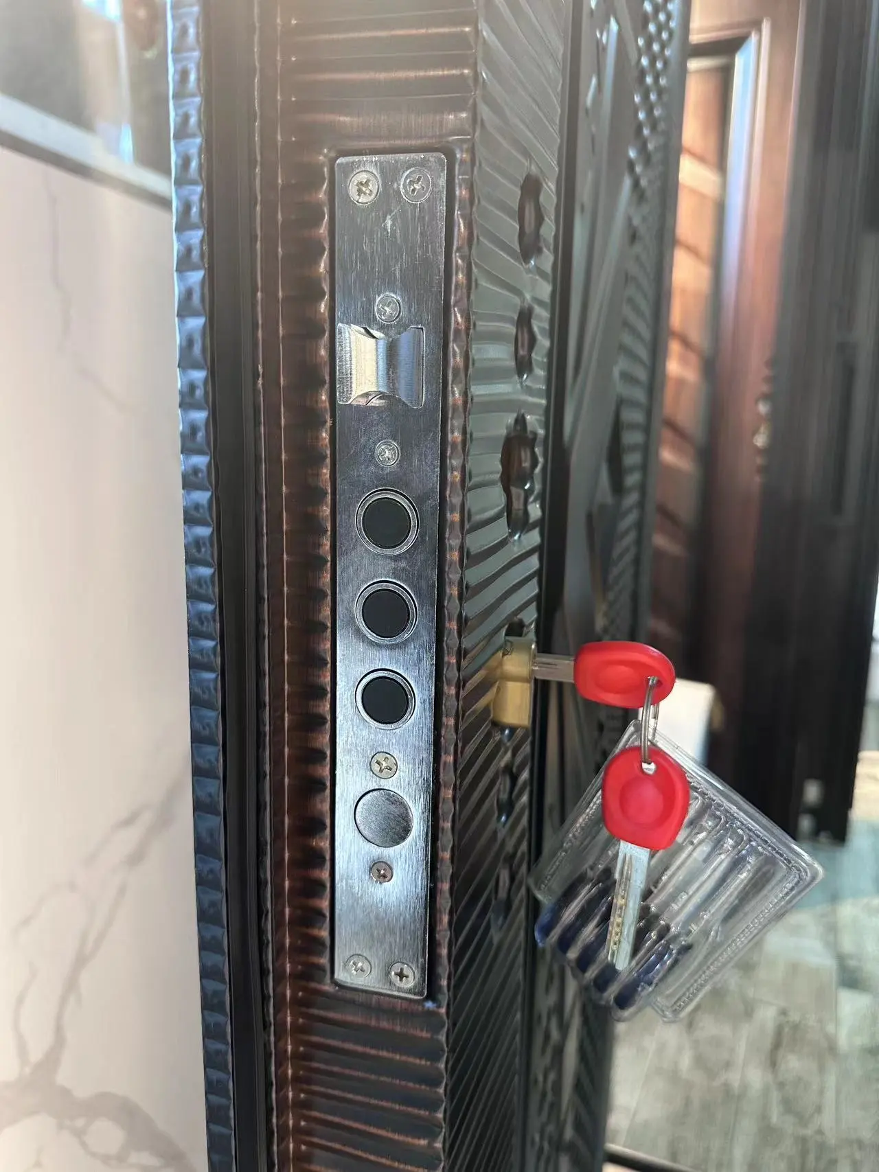 Lock System of Internal Black Metal Doors