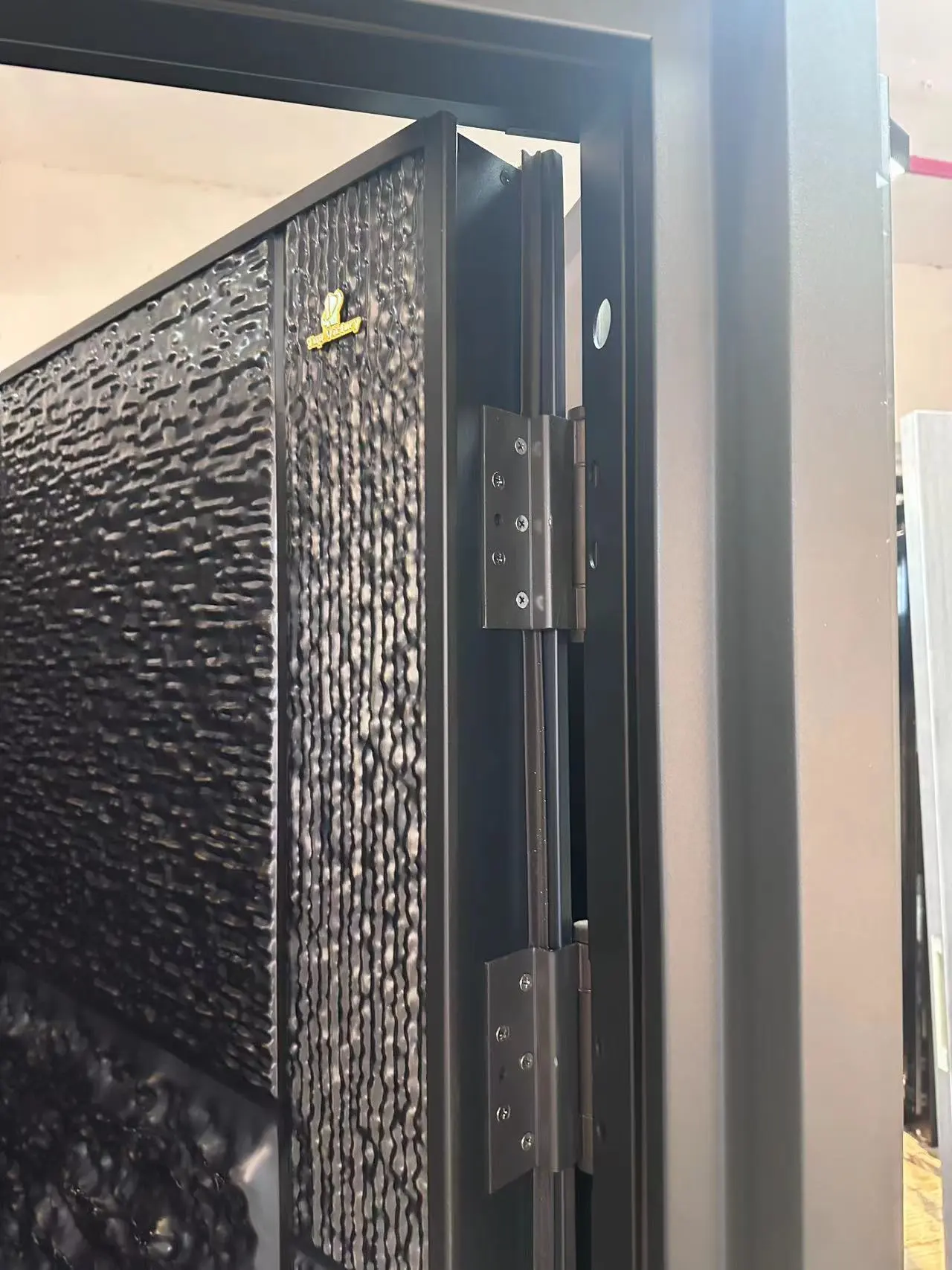 Hinge of Black Metal Door