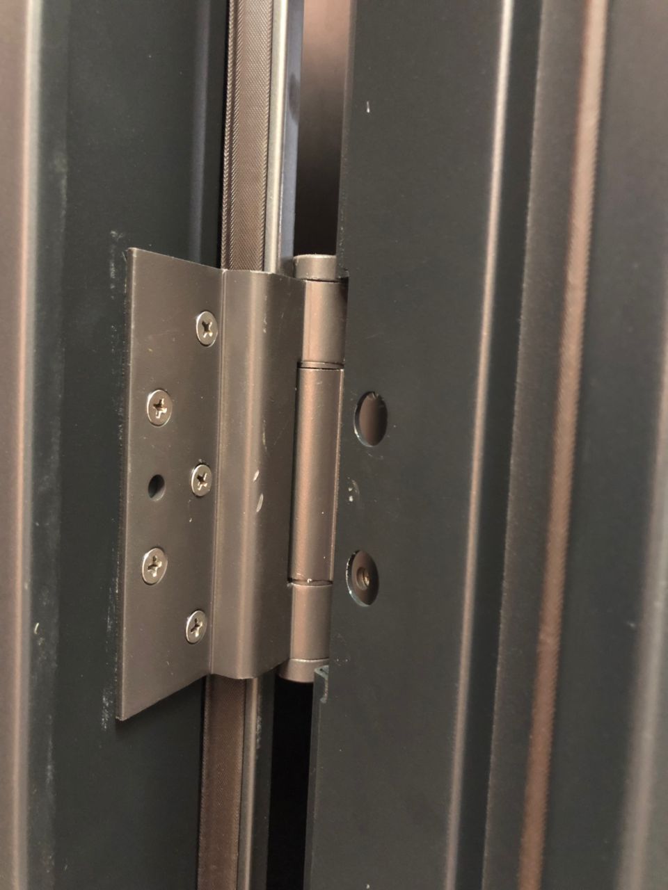 Hinge of Security Double Front Doors
