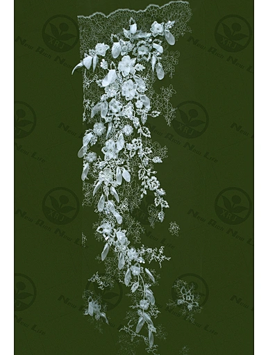 Embroidery lace allover