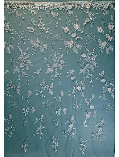 Embroidery lace allover