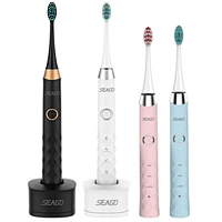 Electric Toothbrush