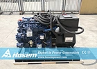 marine diesel generator 20kW