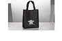 non-woven bag 1