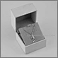 earring pendant box