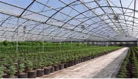 pre galvanized steel pipe manufacturer-Baolai Steel Pipe Used for Greenhouse Frame