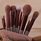 makeup brush set with case