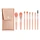 makeup brush with case