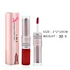2 in 1 lipstick lip gloss