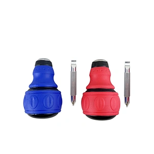 Magnetic Interchangeable 2-in-1 Screwdriver