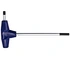 T spanner