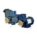 Introducing our GP/PS electric 1.5 hp water pump - a reliable and high-performance solution for your pumping needs, brought to you by Fuzhou Fumao Electromechanical Co. Ltd.