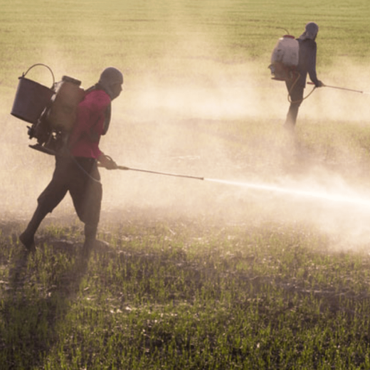 water sprayer,lawn sprayer,hand pump sprayer