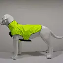 dog clothes
