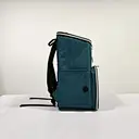 dog travel bag for supplies