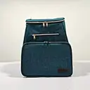 dog travel bag for supplies