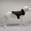 dog clothes