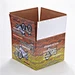 carton packaging box