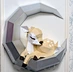Paper Ornaments