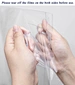 transparent cake box