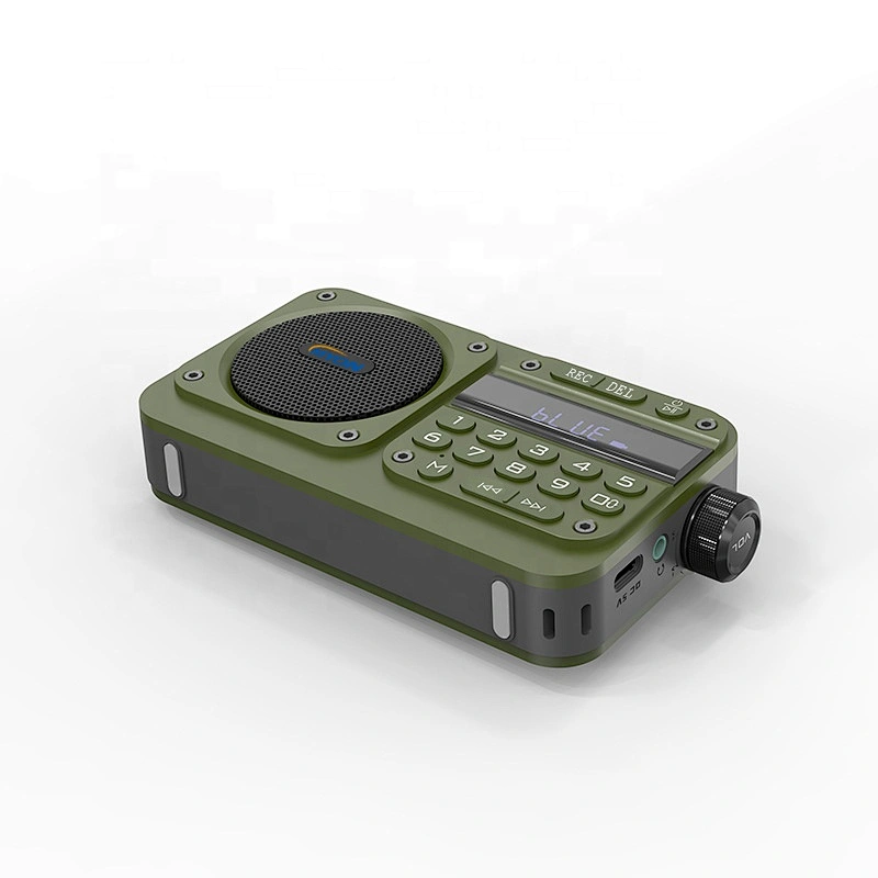 Multifunctional USB TF Earphone Stereo Small Mini Size Home Radio Bluetooth FM Portable Radio numerique With Screen