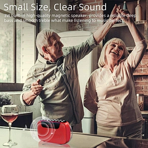 Home Mini Portable Radio FM Pocket Radio with MP3 Digital Radio Speaker Support Micro USB Auto